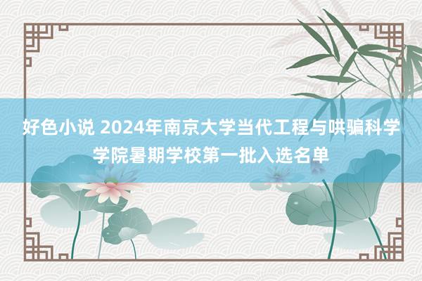 好色小说 2024年南京大学当代工程与哄骗科学学院暑期学校第一批入选名单